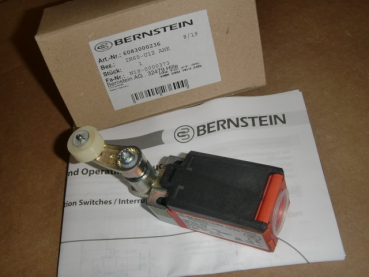IN65-U1Z AHK Grenztaster 1S/1Ö mit Rollenhebel, IP66