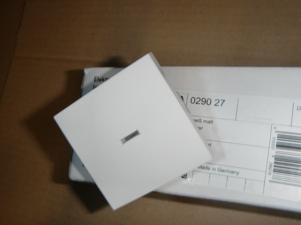 0290 27 System 55 reinweiß matt Wippe uni mit Kontrollfenster (Vers. bis 2024)